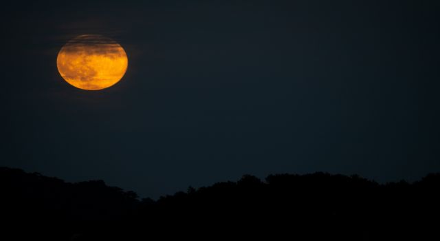 Eşsiz manzara görenleri mest etti