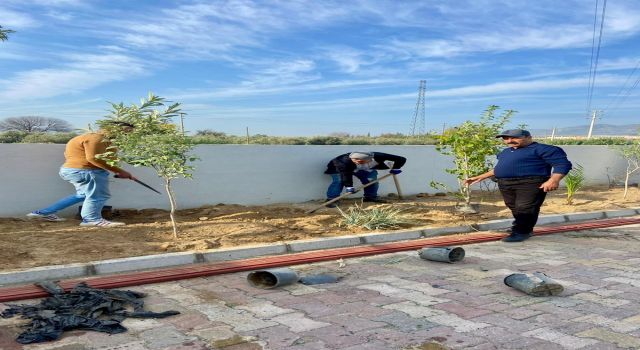 Sultanhisar'da can dostları için yeşil dokunuş