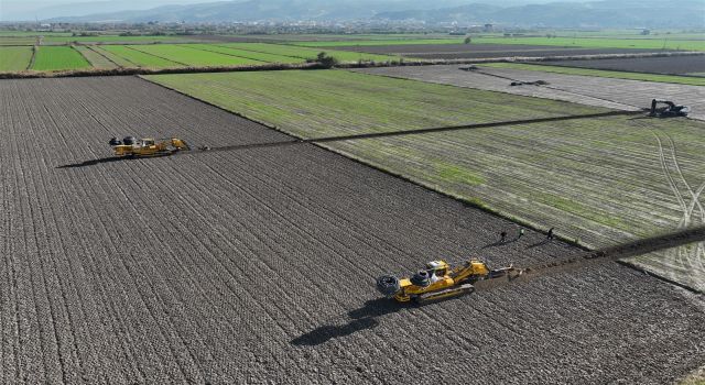 Aydın’da ürünlerin verimliliği artacak