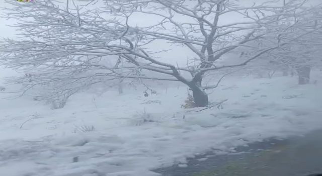 Beyaz örtüyü gören Aydınlılar zirveye tırmandı