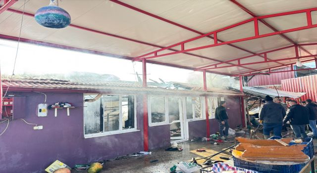 Bozdoğan'da ev alevlere teslim oldu