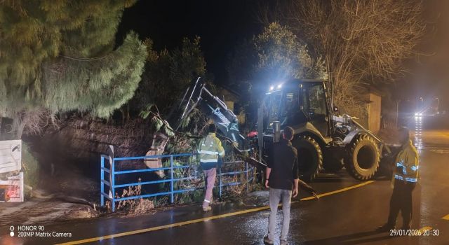 Fırtına mezarlıkta ağaçları devirdi, belediye ekipleri anında müdahale etti