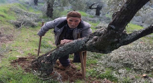 Film sahnesi değil gerçek hayat