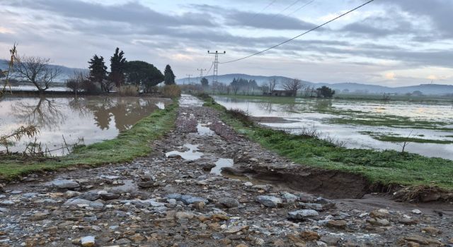 Söke’de aşırı yağışlar sonrası tarım alanlarında hasar tespiti