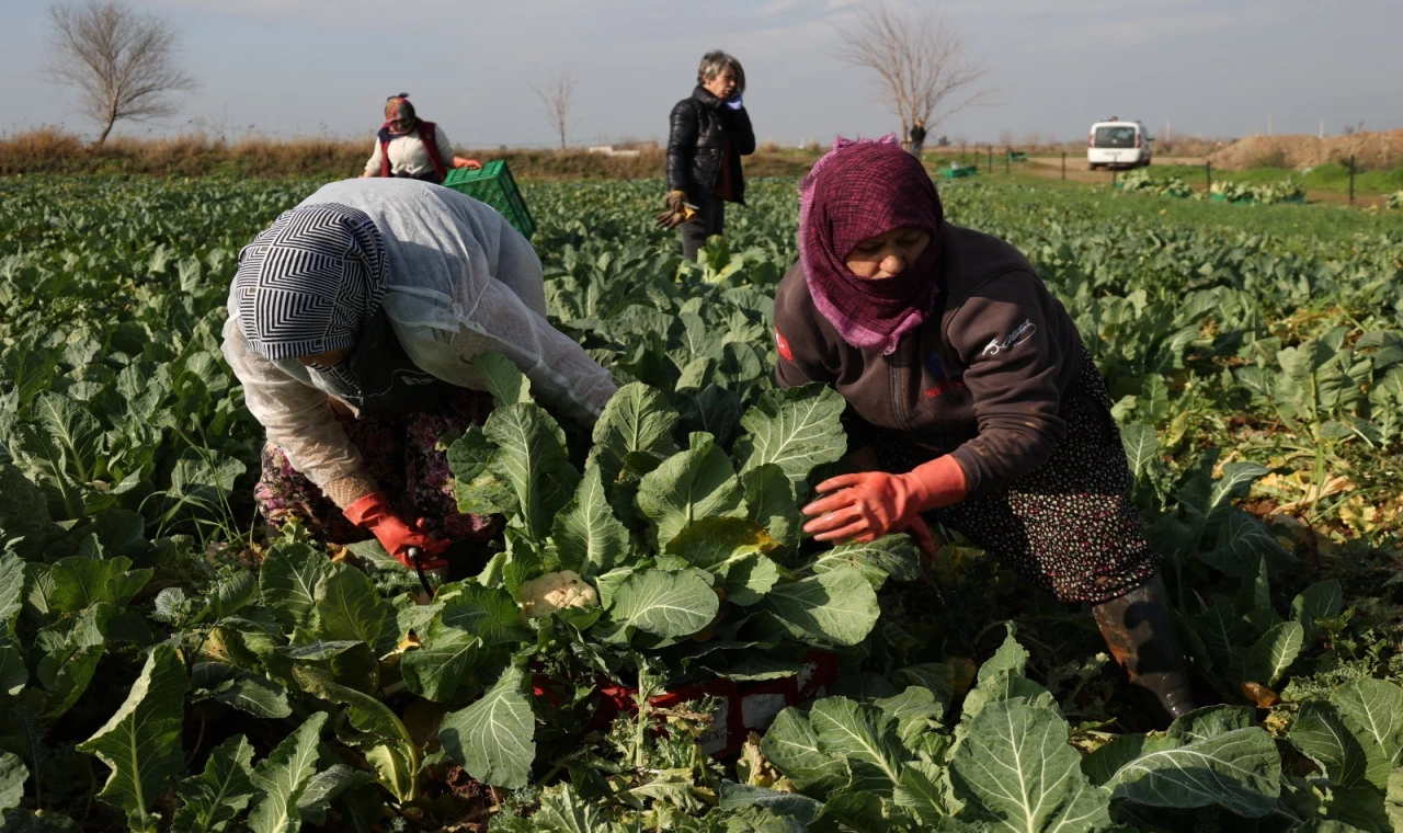 Başkan Yetişkin: “Efeler'i kadınların geleceğe umutla baktığı bir kent yapmak için çalışıyoruz"