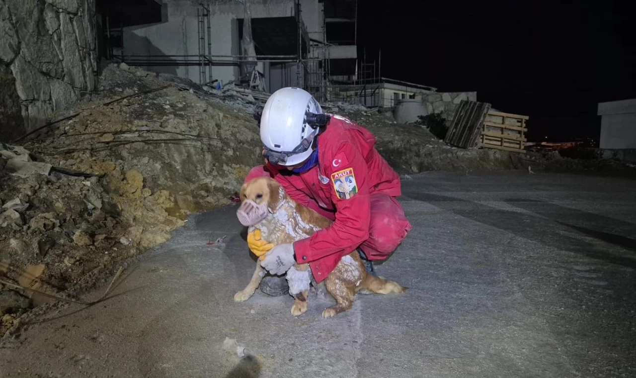 Betonun içine sıkışan köpek kurtarıldı
