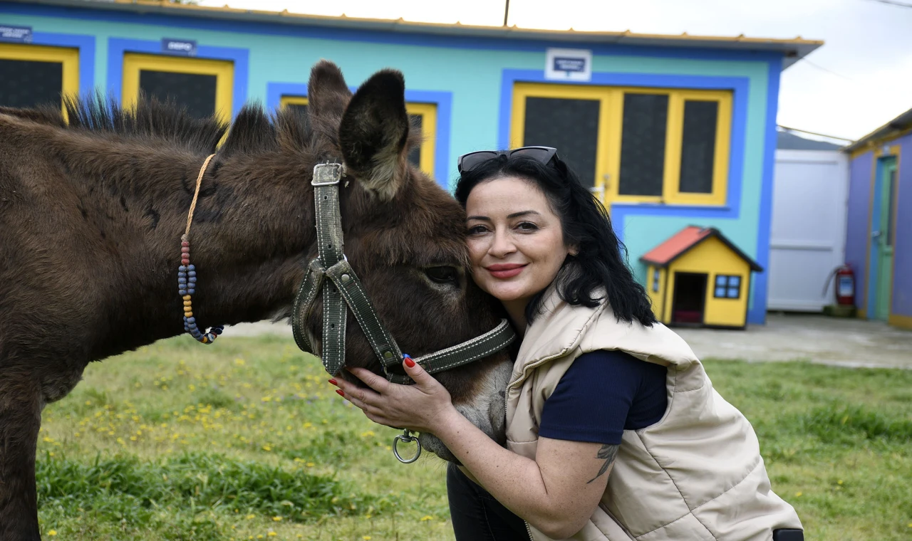 Çamurdan Kurtarıldı, Kuşadası’nda Yeni Bir Hayata Başladı: “Fıstık” Artık Güvende