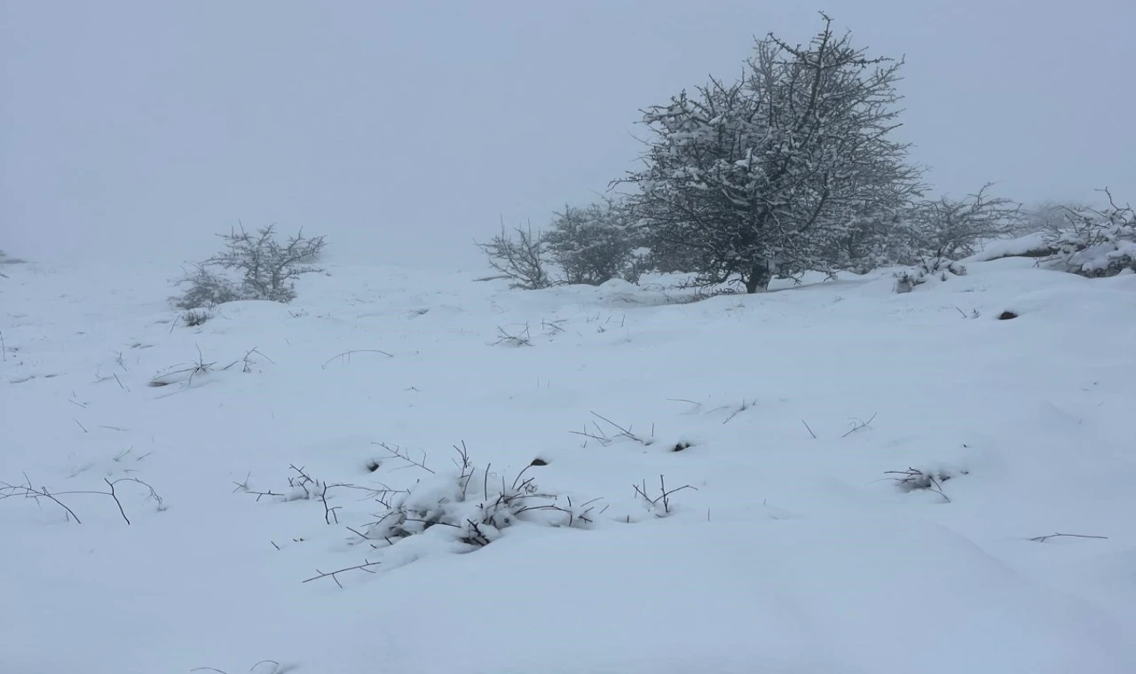 Mart sonunda Karıncalı Dağ'da kar sürprizi