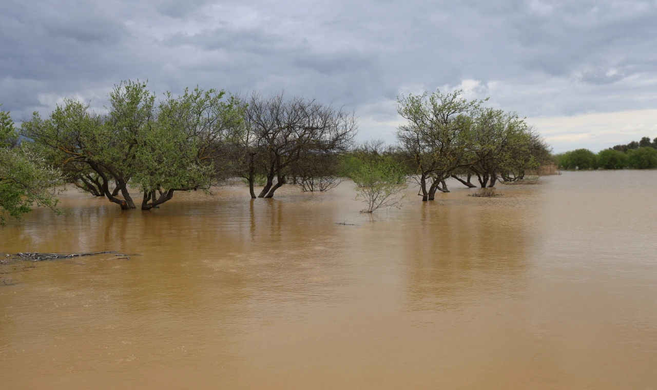 Sağanak yağış Menderes Nehri'ni taşırdı