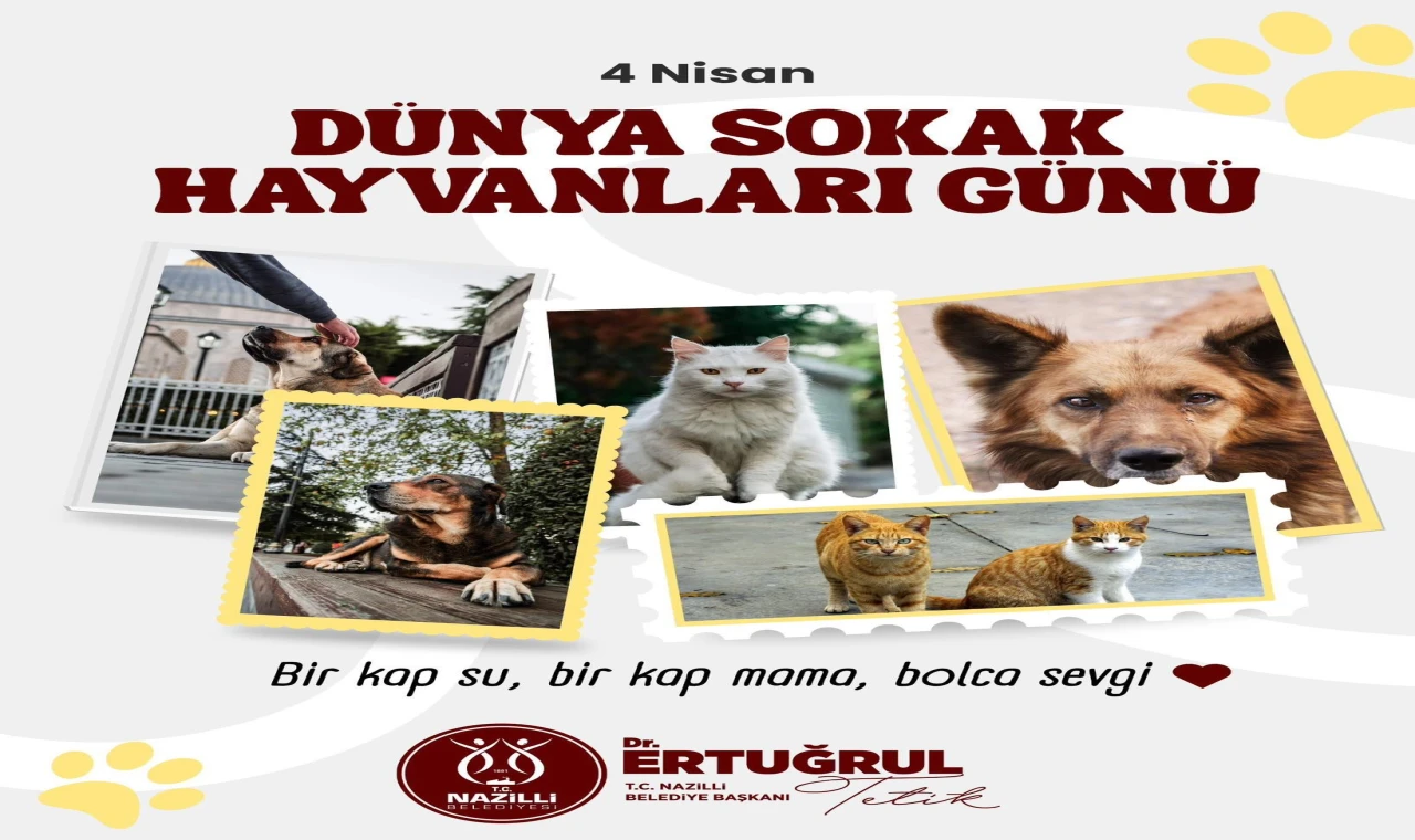 Başkan Tetik’ten 4 Nisan Dünya Sokak Hayvanları Günü’nde Anlamlı Mesaj