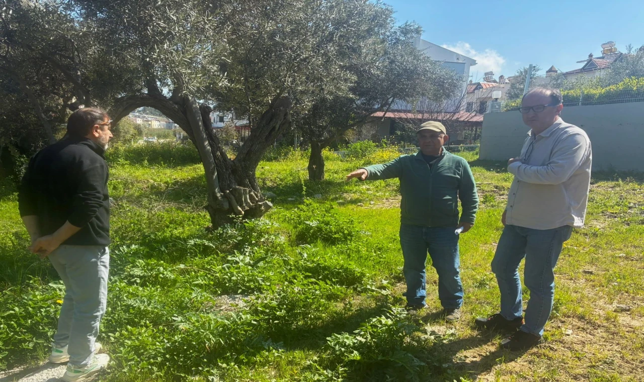 Endemik Tülüşah için inceleme yaptılar