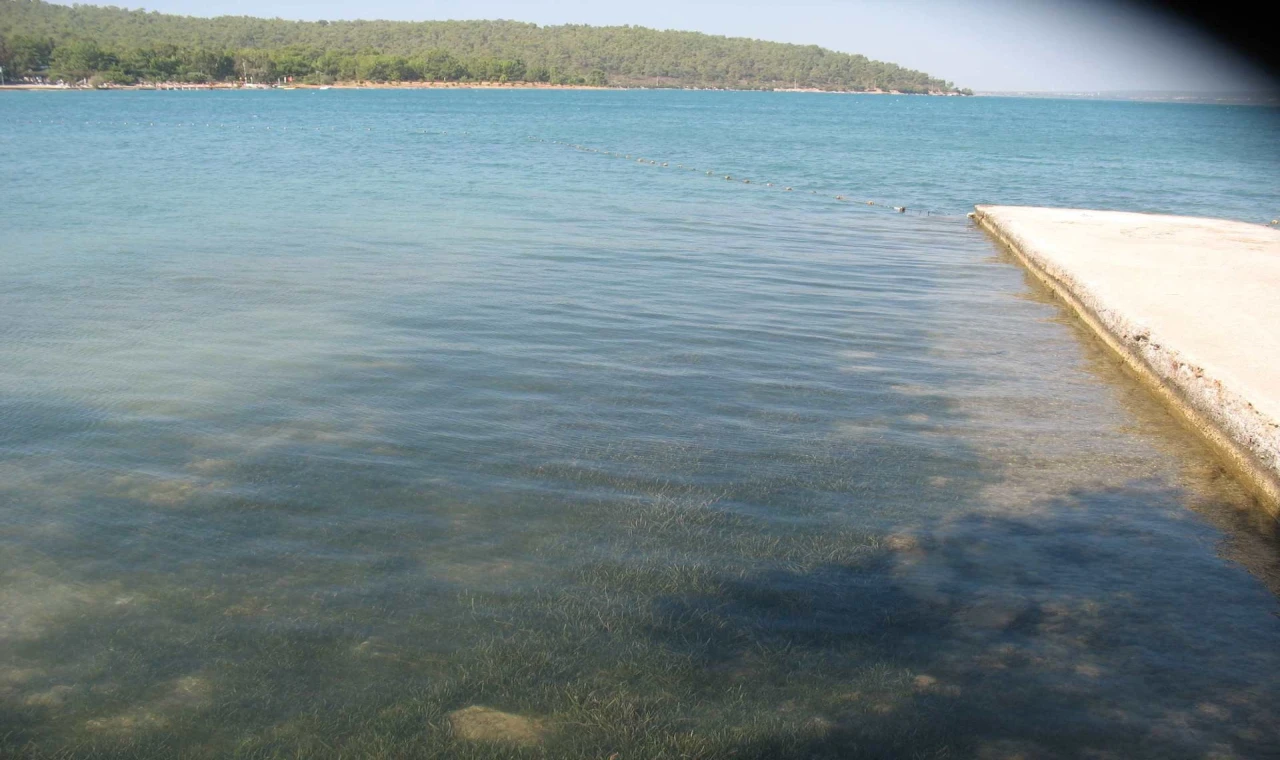 Didim’in deniz suyu kalitesi dikkat çekti