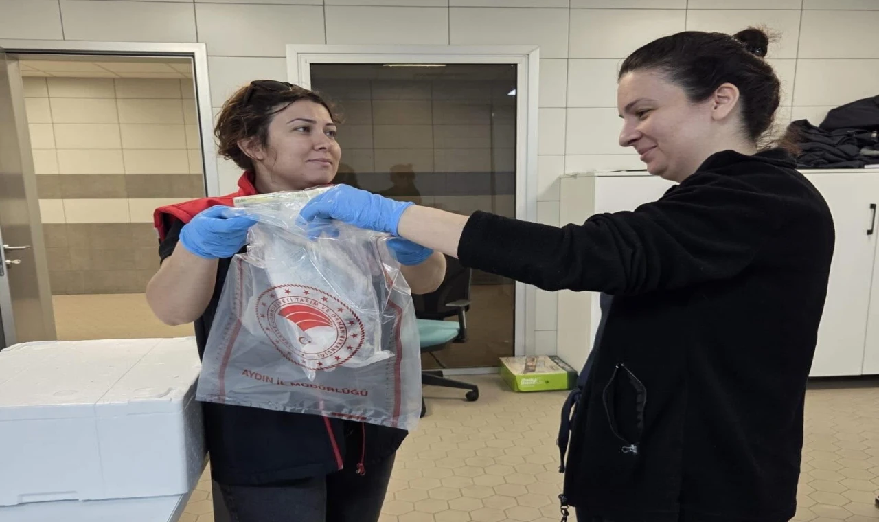 Söke’de İhracata Gidecek Su Ürünleri Sıkı Denetimden Geçiyor