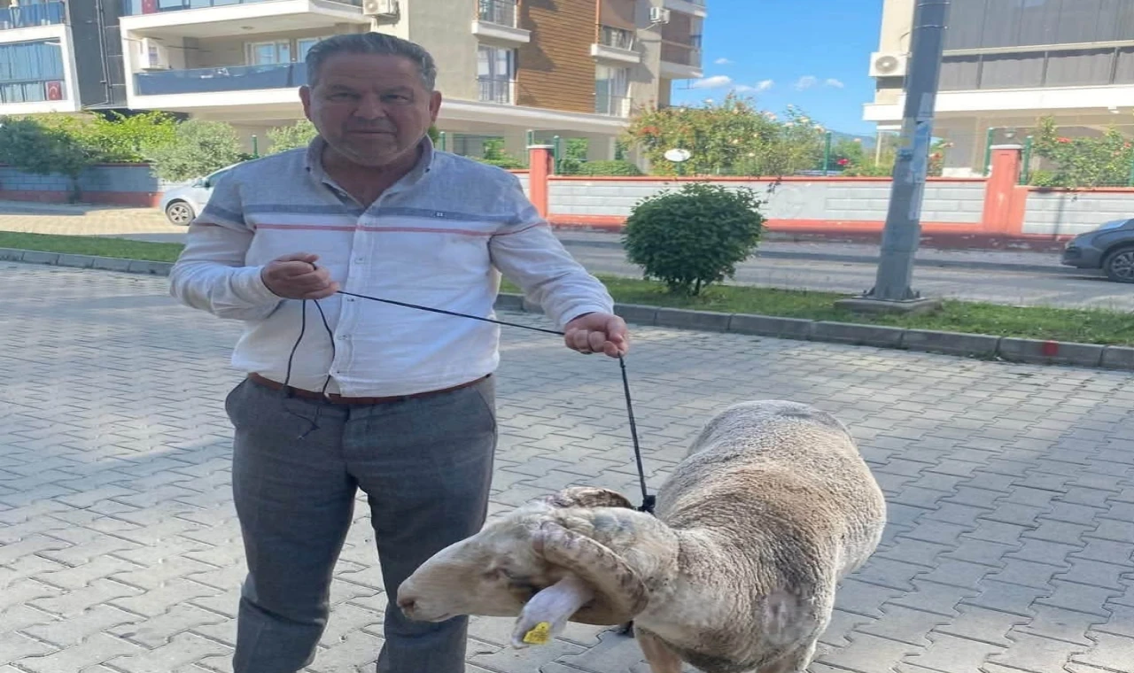 Yeşil Mahalle’de Gönülleri Isıtan Bayram Dayanışması
