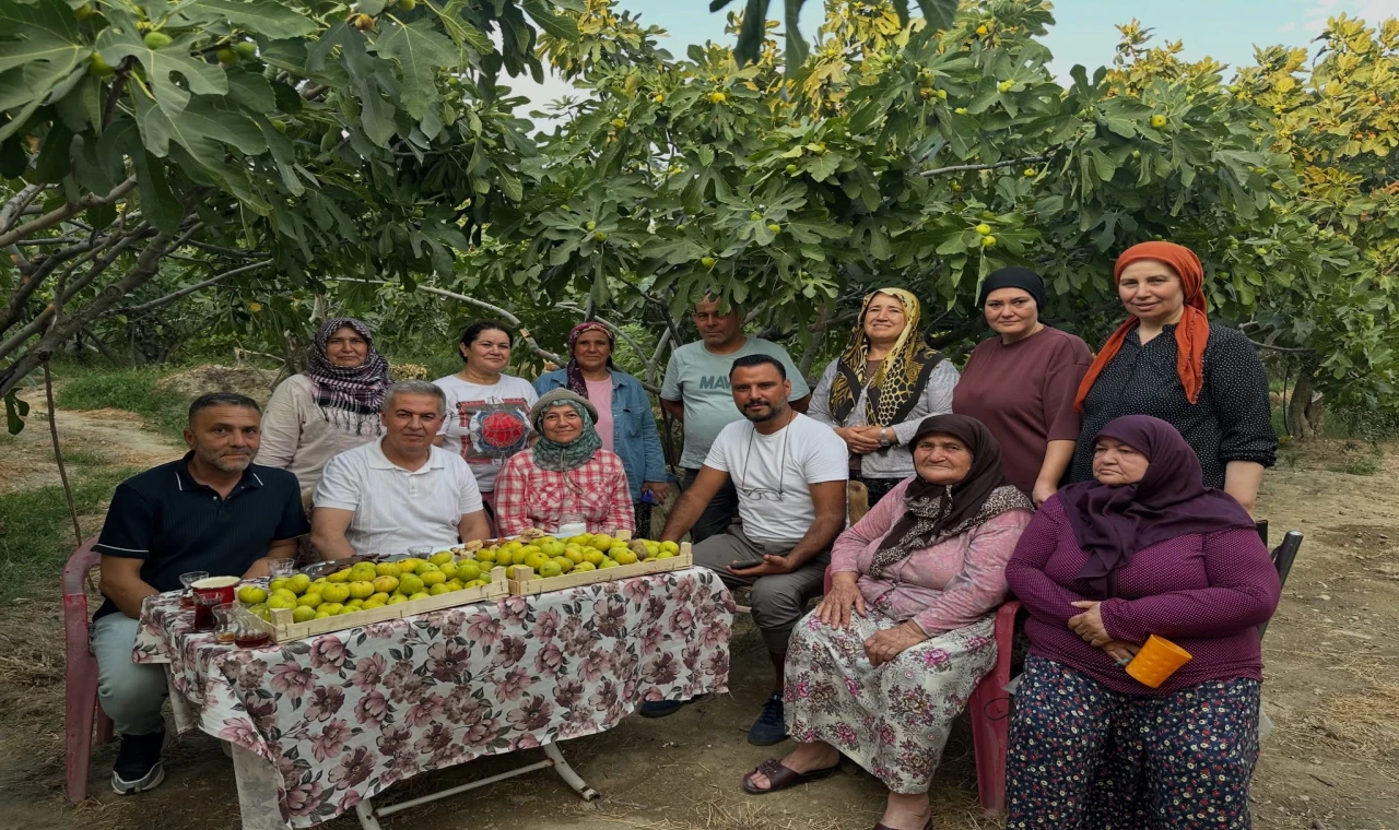 Alişan, Buharkent’in Taze İncirini TRT 1 Ekranlarına Taşıyacak