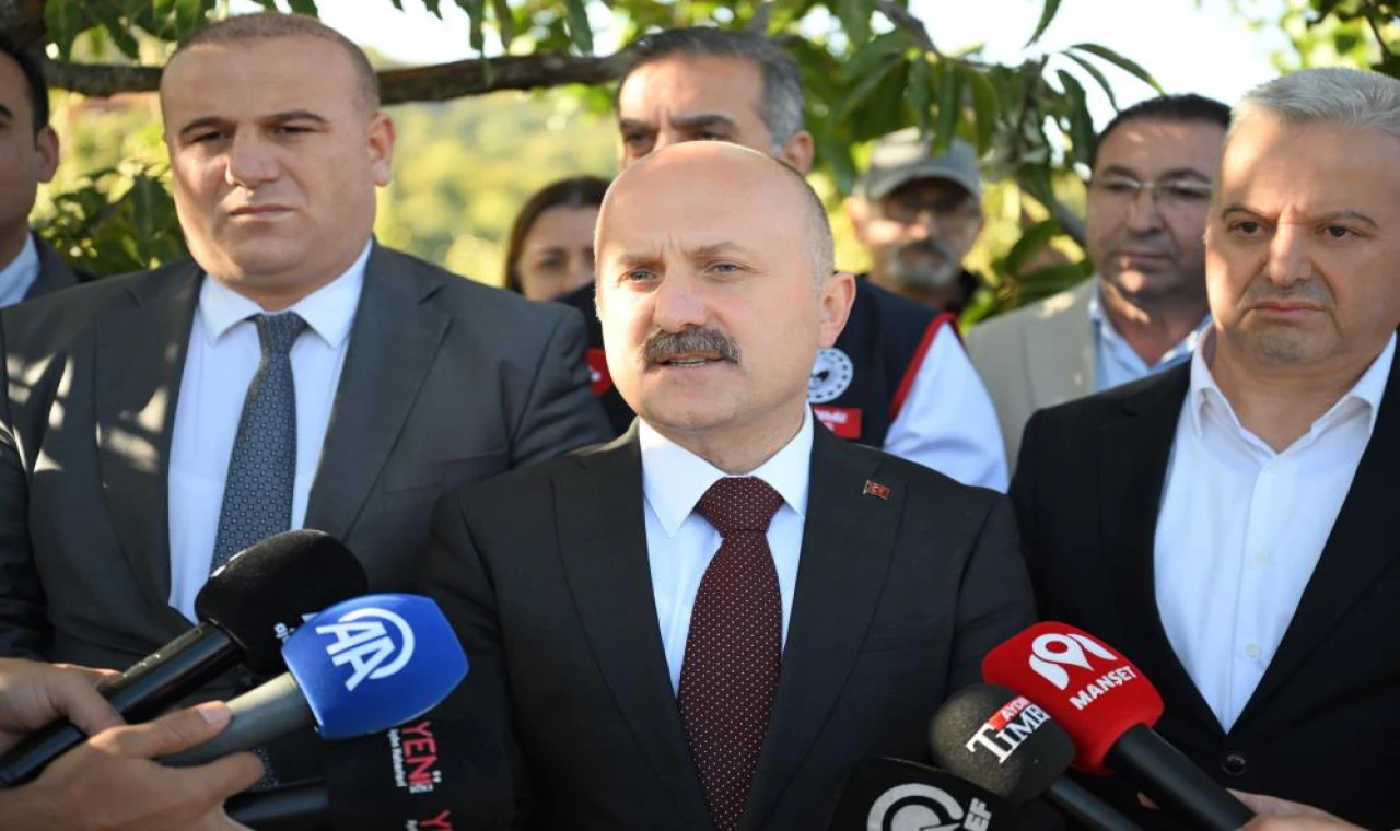 Aydın'da 5 bin 629 kestane üreticisi hasat heyecanı yaşıyor