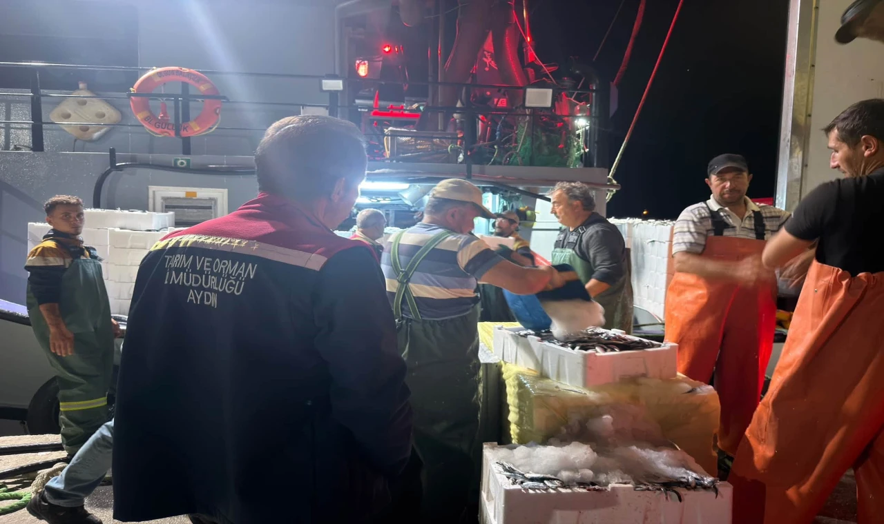 Didim'de ‘Hamsi Kotası’ denetimi yapıldı