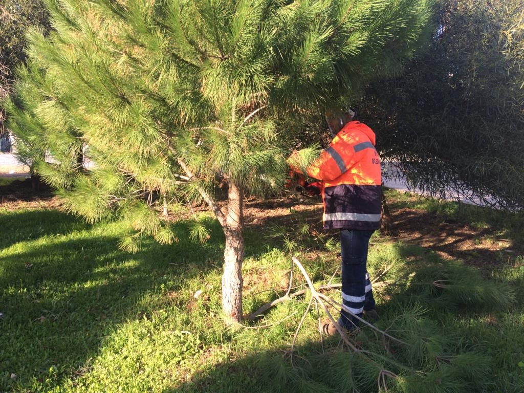 Didim’de yeşil alan çalışmaları devam ediyor