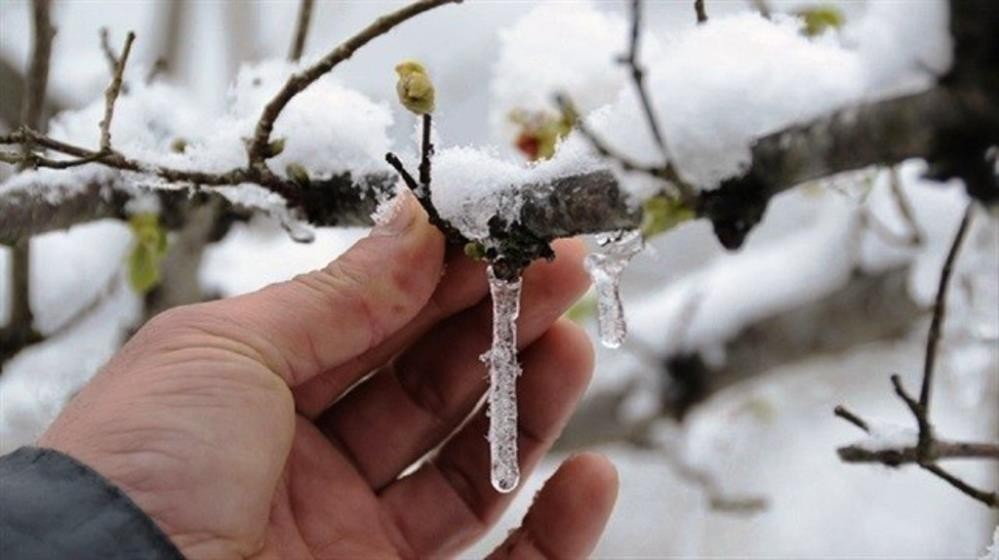 Meteoroloji’den Aydın’a 'zirai don' uyarısı