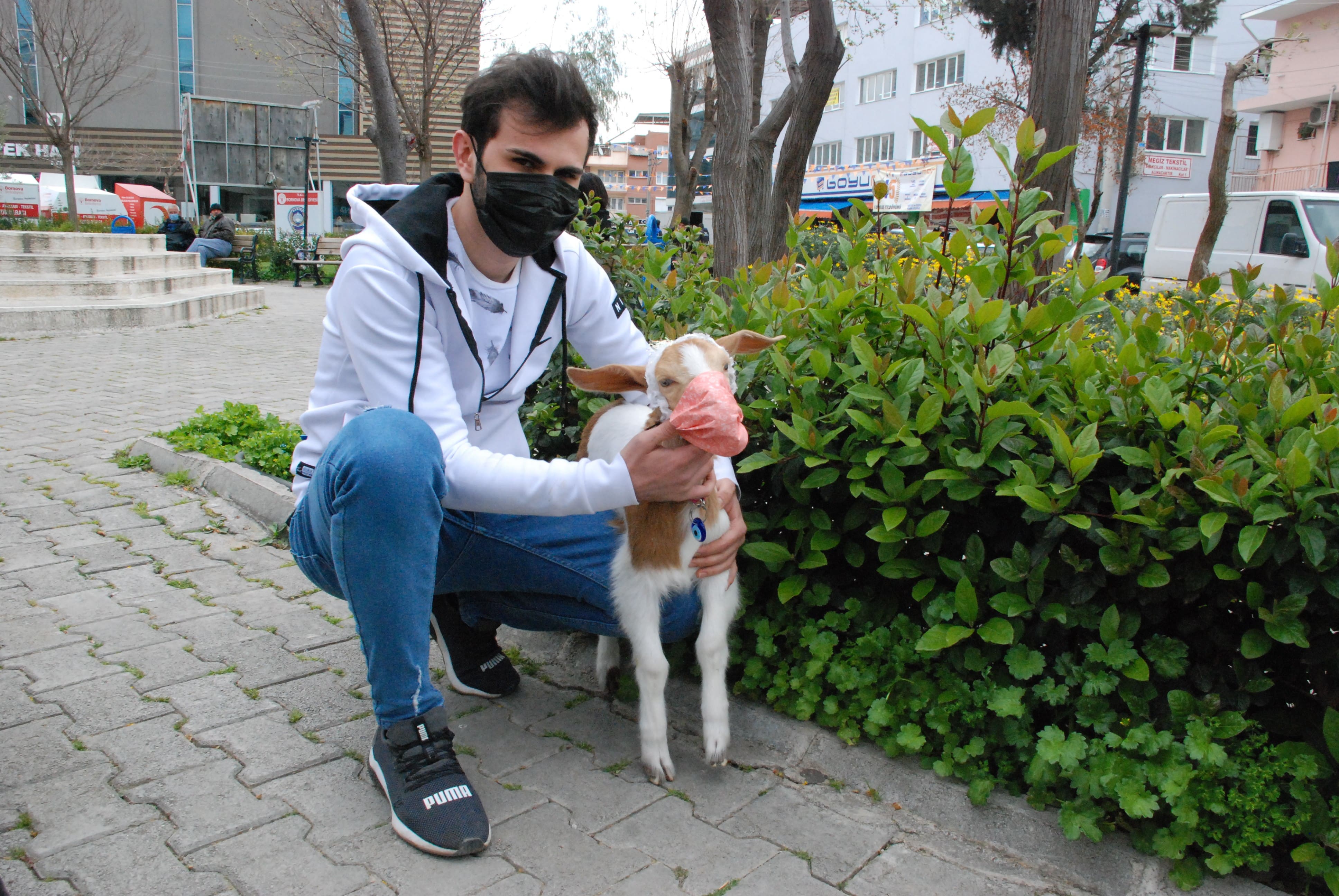 İzmir'in maskotu maskeli keçi