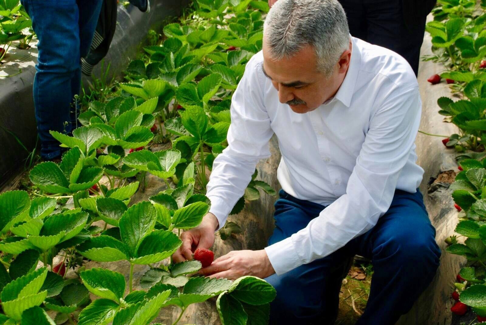  Milletvekili Savaş; "Aydınımız için katma değer üretmeye devam edeceğiz"