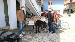 Bu Kütüphanede Kitapları Eşekler Taşıyor