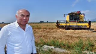 Söke Belediye Başkanı Tuncel, Buğday Hasadını Yerinde İzledi