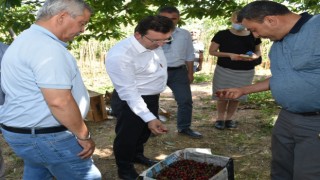 Efeler Kaymakamı Cemal Şahin Yağıştan Sonra İncelemelerde Bulundu