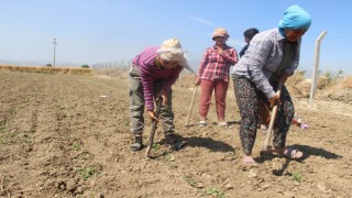 Hem Çapa Sallayıp Hem Şampiyonaya Hazırlanıyor