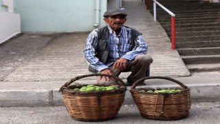 İlek Alım Satımları Başladı