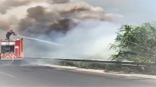 Söke'de Karayolu Kenarında Çıkan Yangın Panik Yarattı