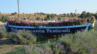 Didim Lavanta Festivali Doğal Stüdyo Oldu