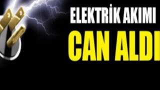 Elektrik Akımı Can Aldı