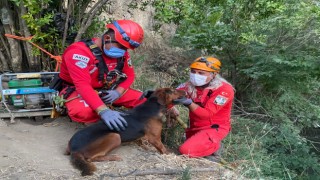 Gölete Düşen Köpeğin Yardımına Kuşadası AKUT Ekibi Koştu