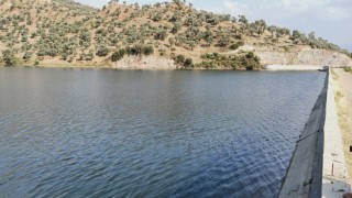 Pikniğe Giden Kadın Çocuklarının Gözü Önünde Gölete Atladı