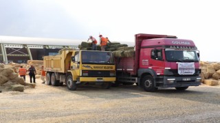 Nazilli’den Manavgat ve Bozdoğan’a Yardım Desteği