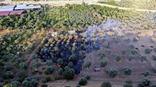 Yanlışlıkla Kendi Arazisini Yaktı