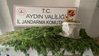 Aydın’da Uyuşturucuya Geçit Verilmiyor