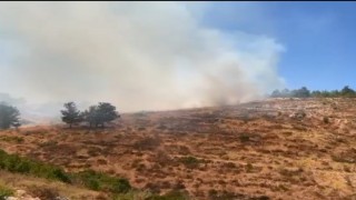 Bodrum’da Çıkan Orman Yangını Korkuttu