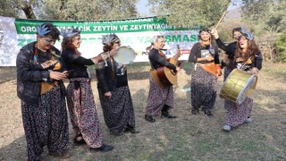 Çine'de 'Zeytin ve Zeytinyağı Festivali' renkli görüntülerle başladı