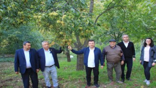 Kaymakam Kestane Hasatında Sezon Finalini Yaptı