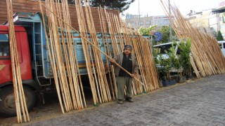 Teknolojiye kafa tutan zeytin toplama yöntemi 