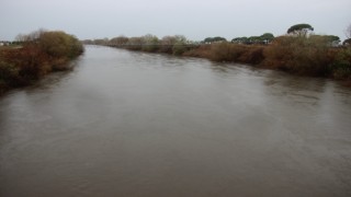 Büyük Menderes Nehri eski günlerine geri döndü