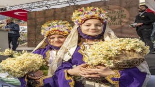 Karaburun’da Nergis Festivali için geri sayım