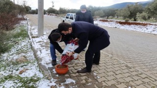 Kaymakam Alpay buz gibi havada sokak canlarını besledi