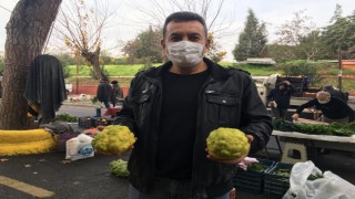 Pazarın ilgi odağı 'Bergamot'