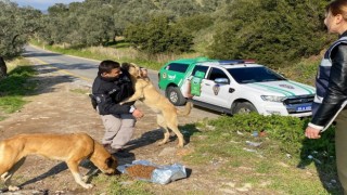 Polis ekipleri sokak canlarını unutmadı