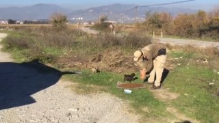 Sokak canları için restoran ve iş yerleri bilgilendirildi