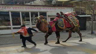 Develer Nazilli sokaklarında dolaştı