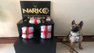 Narkotik köpeği Arthur, uyuşturucuya geçit vermiyor